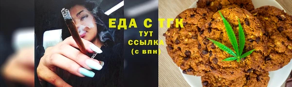 хмурый Аркадак