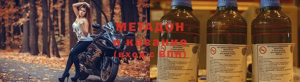 хмурый Аркадак