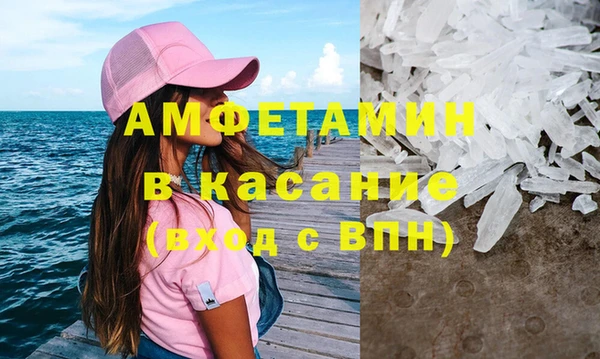 хмурый Аркадак