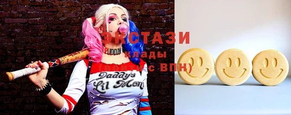 хмурый Аркадак