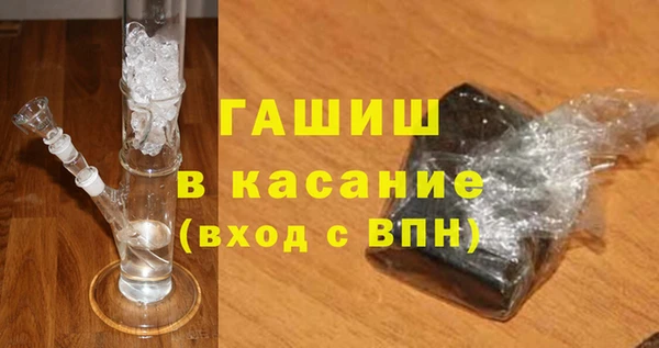 хмурый Аркадак