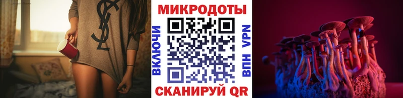 Галлюциногенные грибы мухоморы  наркотики  blacksprut вход  Райчихинск 